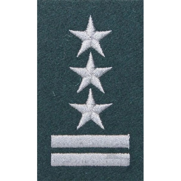 Stopień na beret WP (zielony/haft) - pułkownik