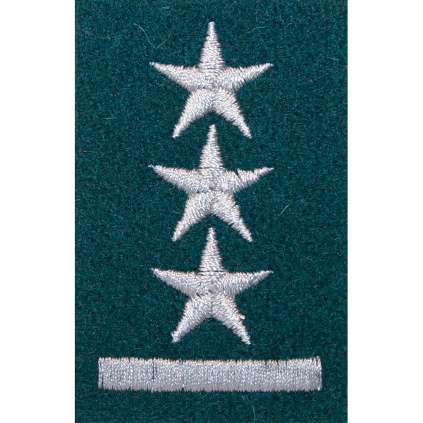 Військове звання на берет Війська Польського зелений – поручник