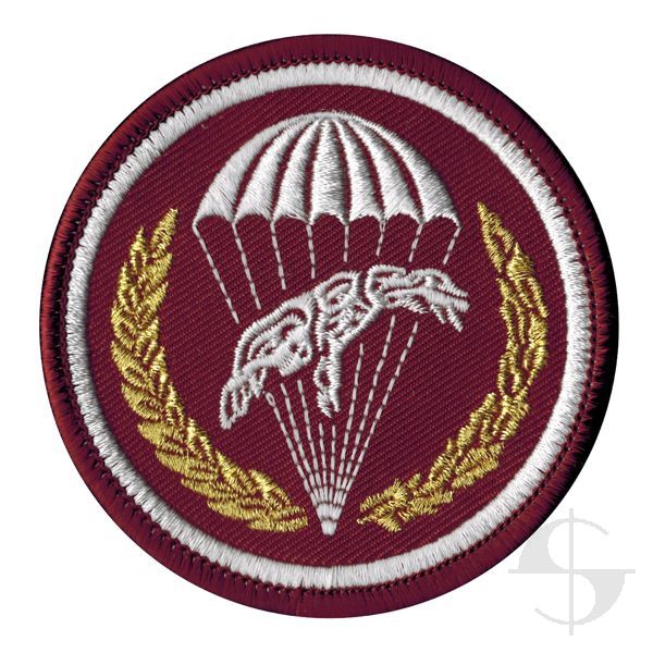 Emblemat wyjściowy 6 Brygady Powietrznodesantowej