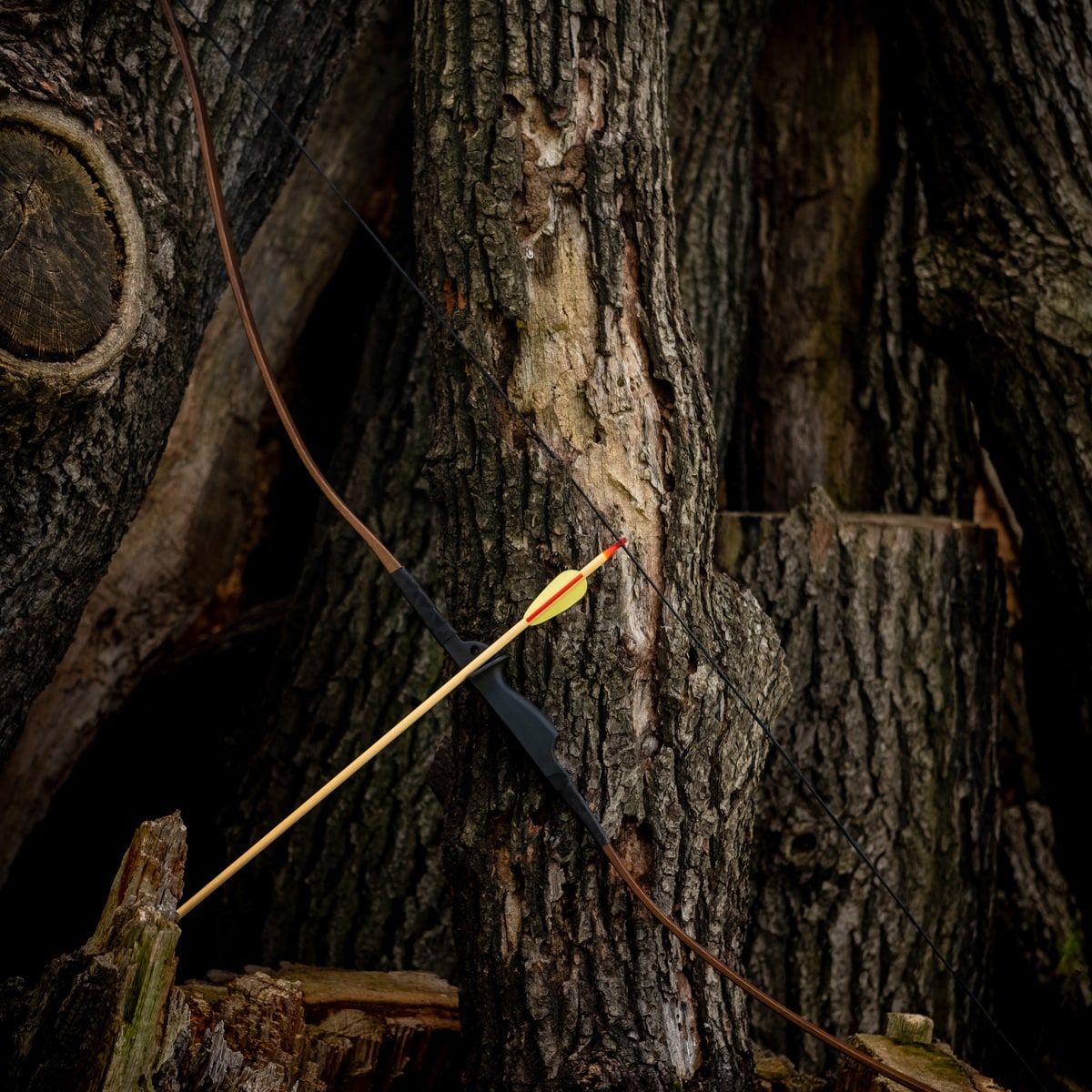 Łuk klasyczny Poe Lang Robin Hood longbow - wooden - zestaw