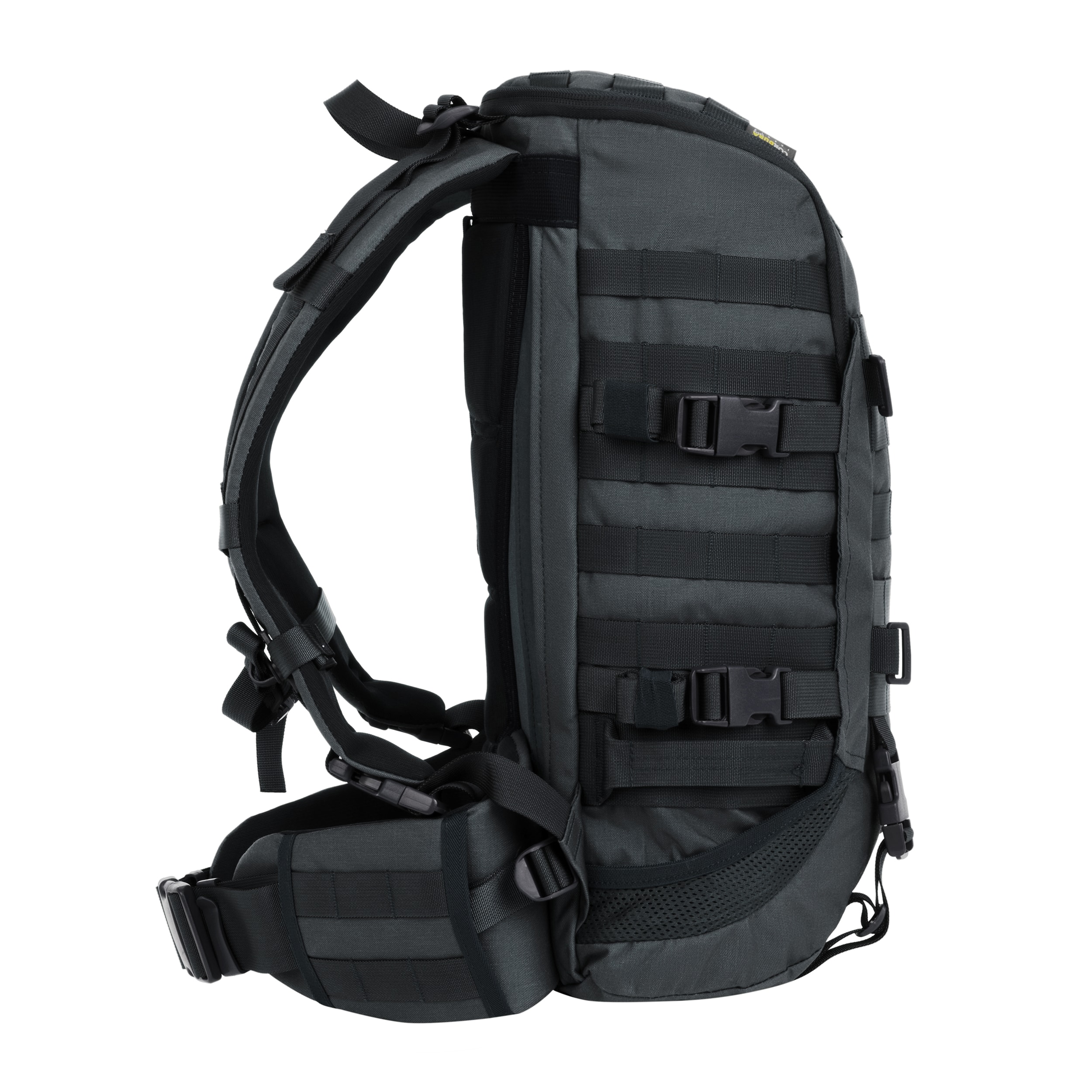 Plecak Wisport Zipper Fox 25 l - Graphite