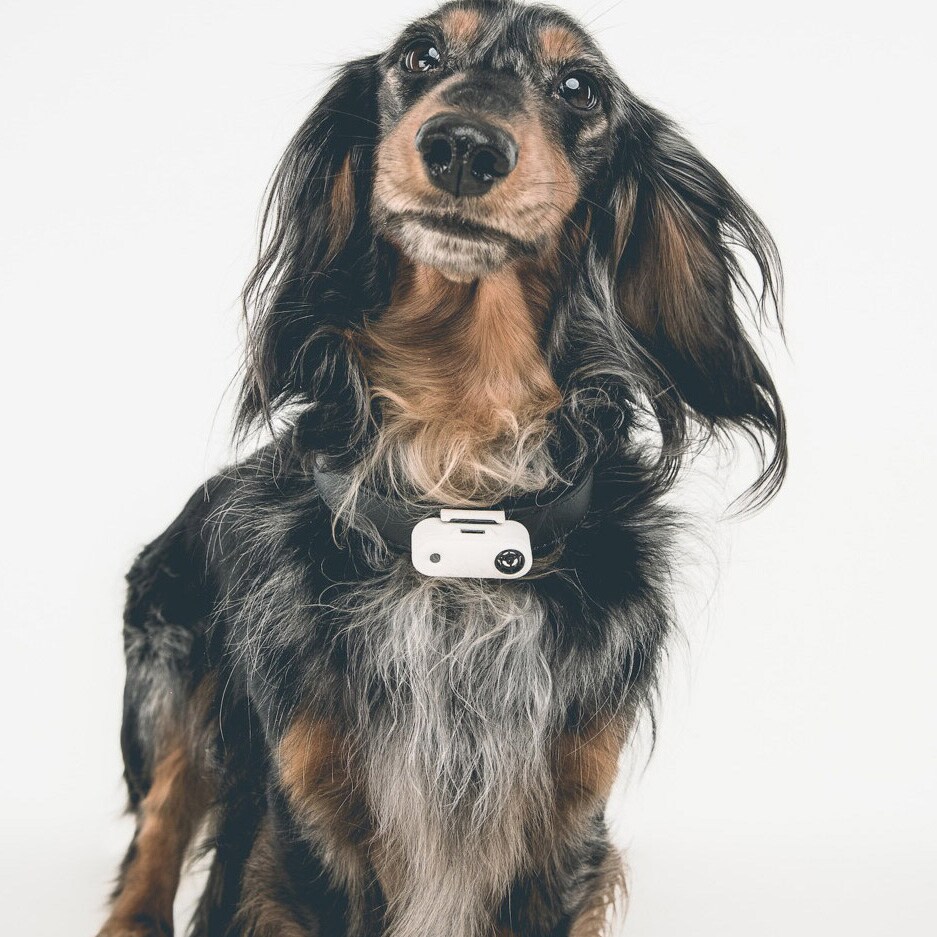 Ultradźwiękowa ochrona przed kleszczami TickLess Pet Mini - dla zwierząt - White