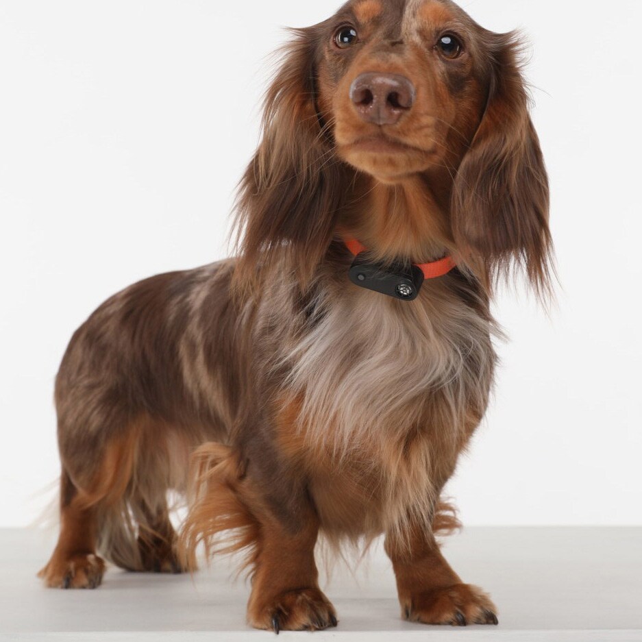 Ultradźwiękowa ochrona przed kleszczami TickLess Pet Mini - dla zwierząt - Black