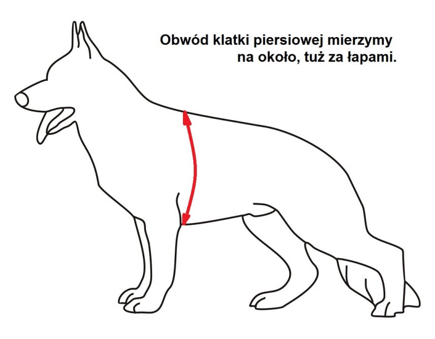 Шлейка для собак K9 thorn Alpha Olive - велика собака