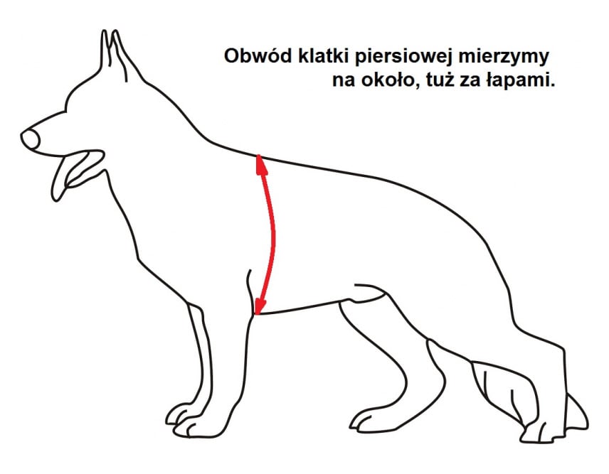 Szelki dla psa K9 Thorn Bravo Black - pies olbrzymi