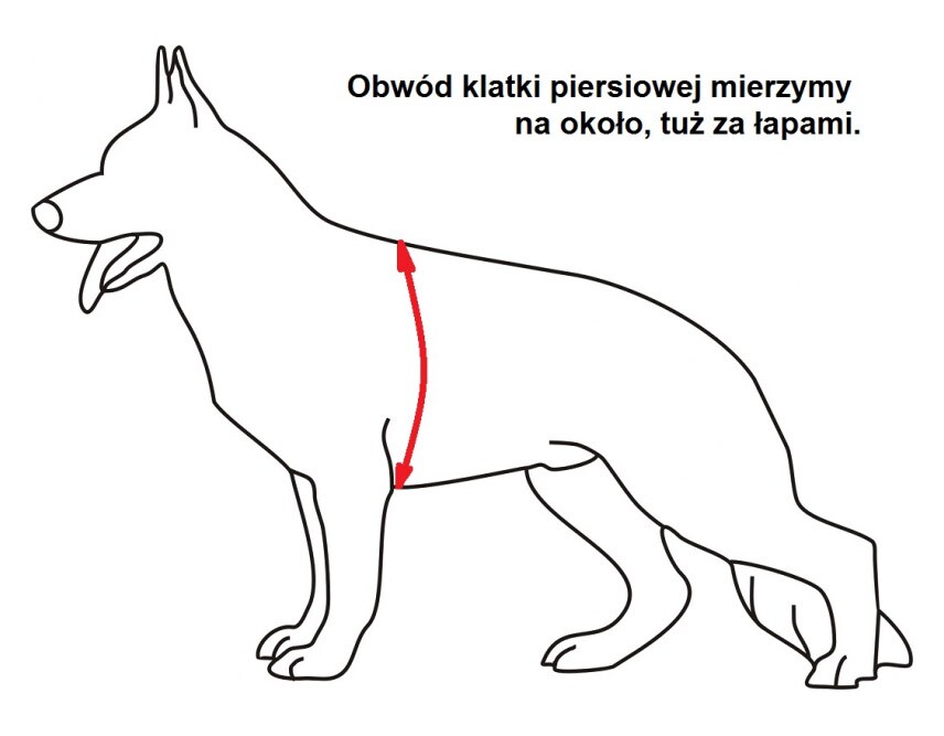 Szelki dla psa K9 Thorn Echo Red - średni pies