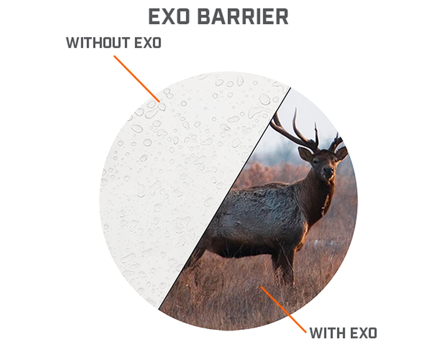 Lornetka Bushnell Engage X 10x42