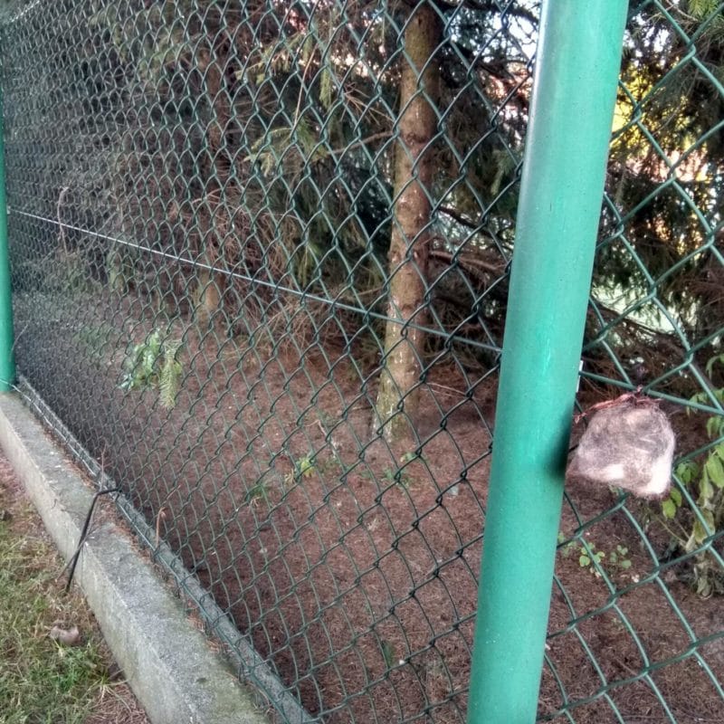 Odstraszacz Kunagone na dziki