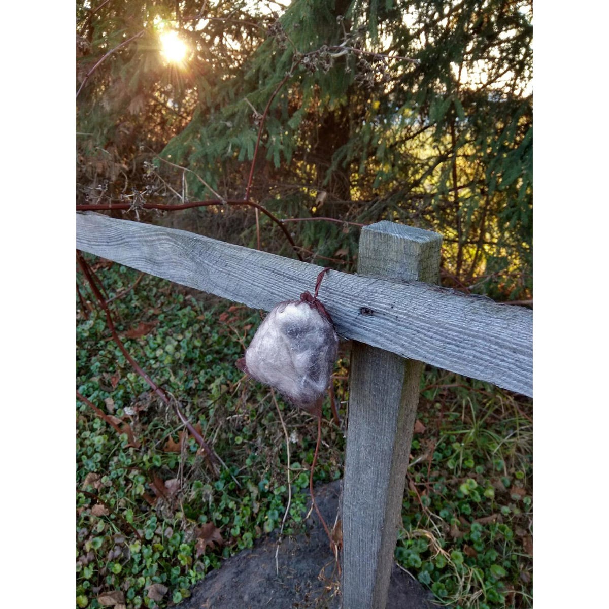 Odstraszacz Kunagone na dziki