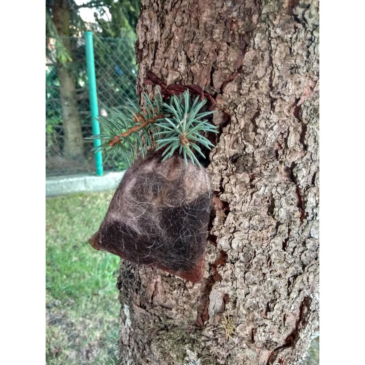 Odstraszacz Kunagone na dziki