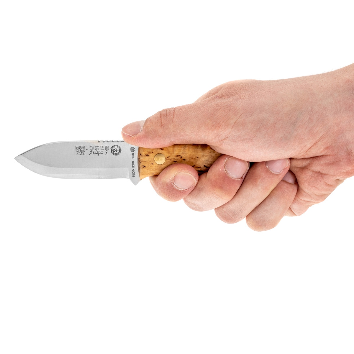 Nóż Joker Cuchillo Avispa Bushcraft