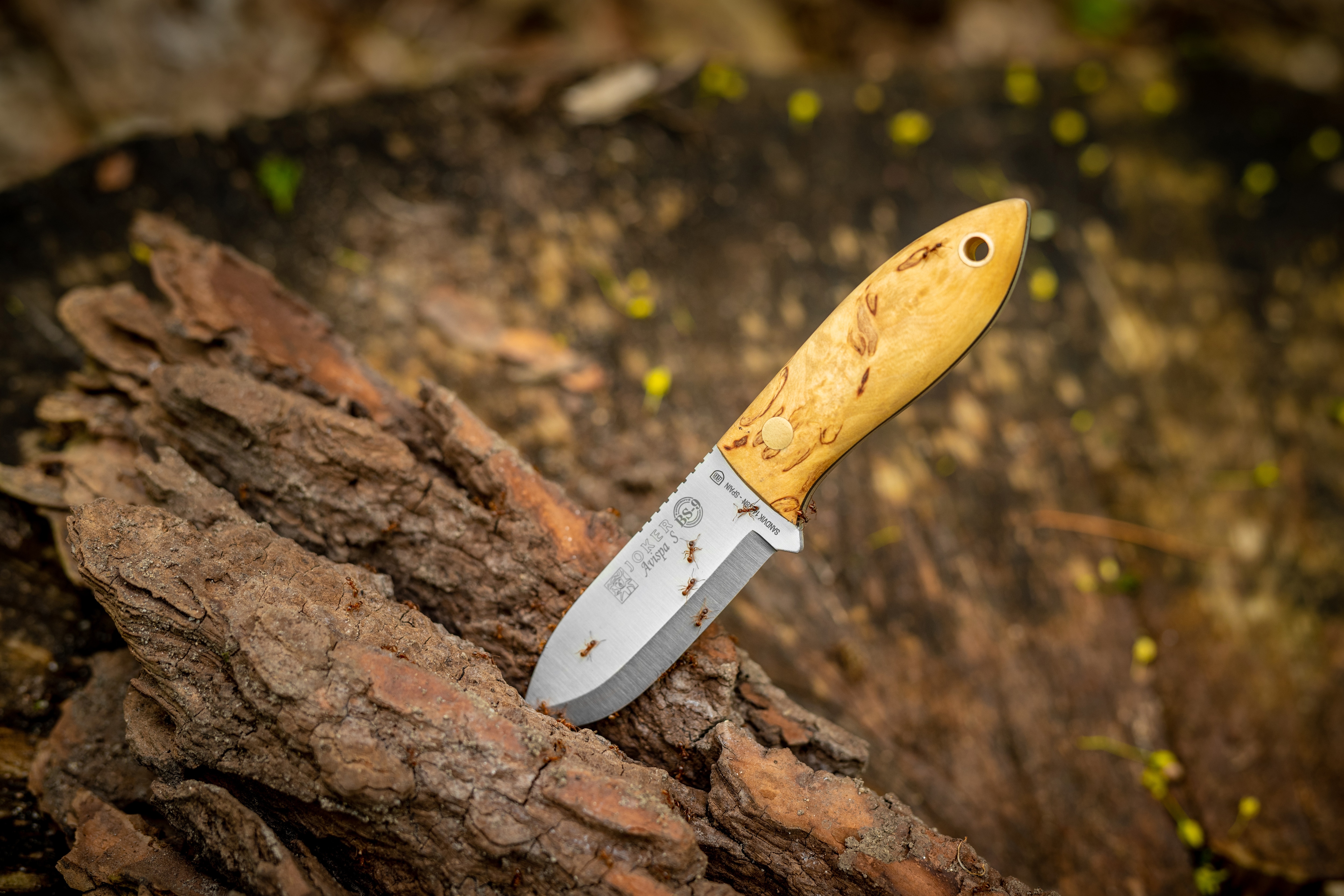 Nóż Joker Cuchillo Avispa Bushcraft