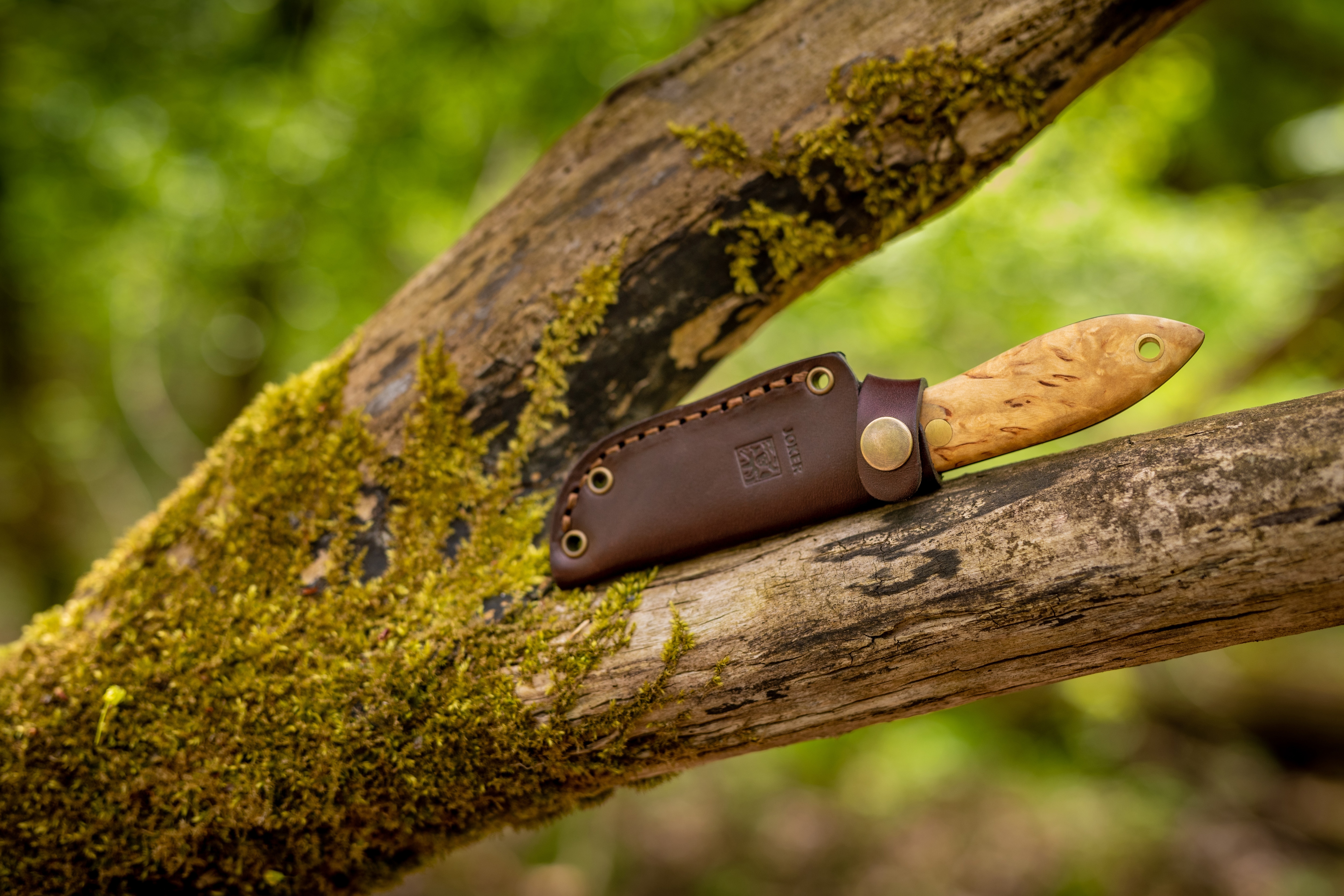 Nóż Joker Cuchillo Avispa Bushcraft