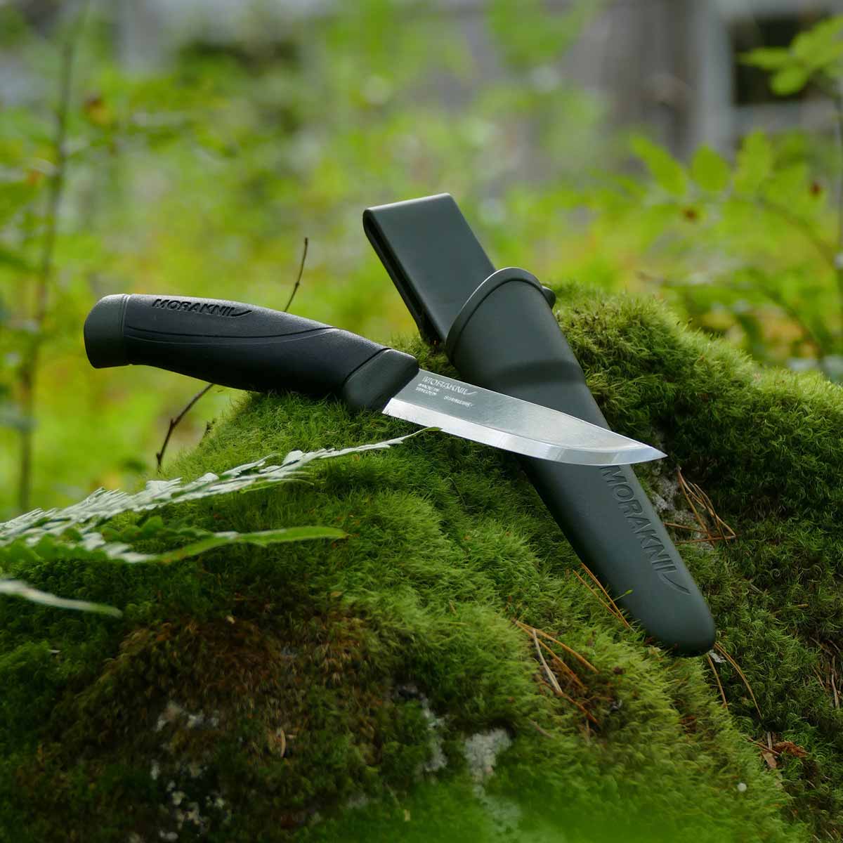 Nóż Mora Companion Stainless - Military Green