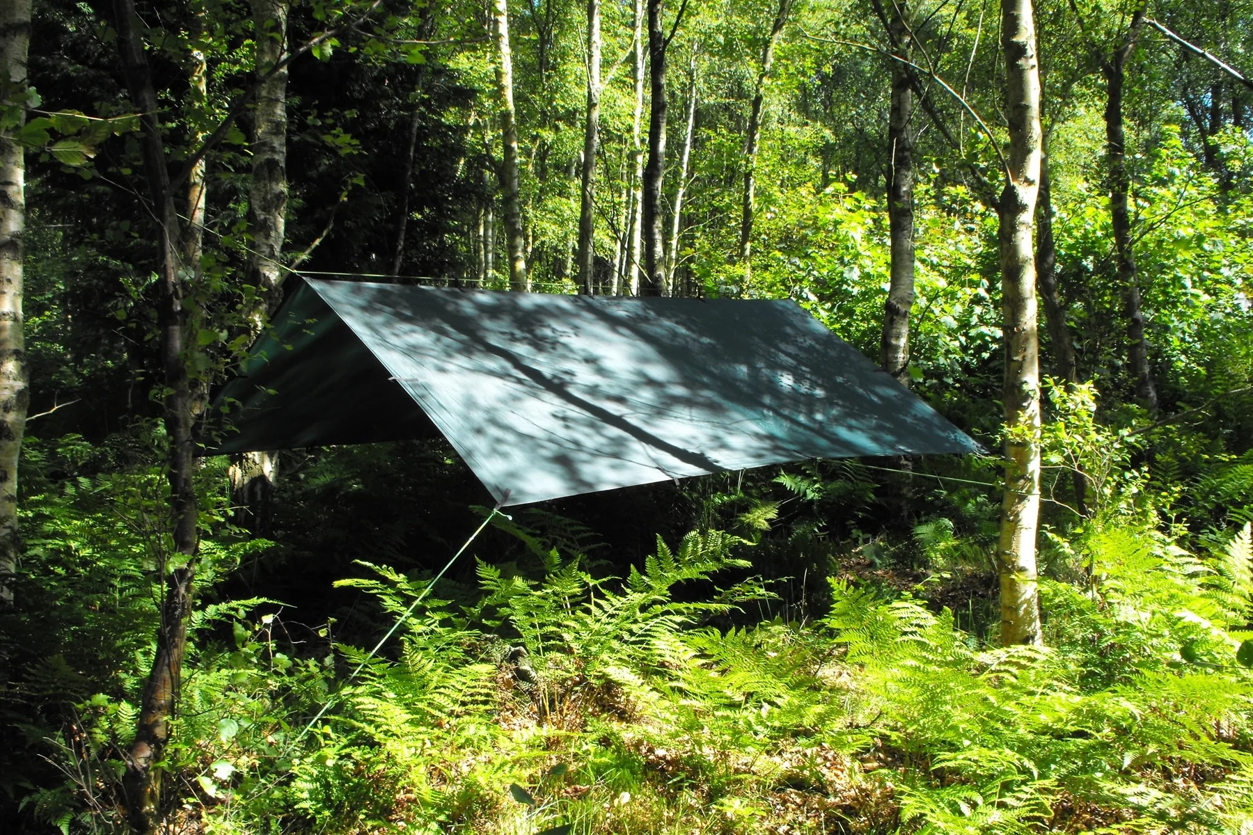 Płachta biwakowa DD Hammocks Tarp 3x3 - olive