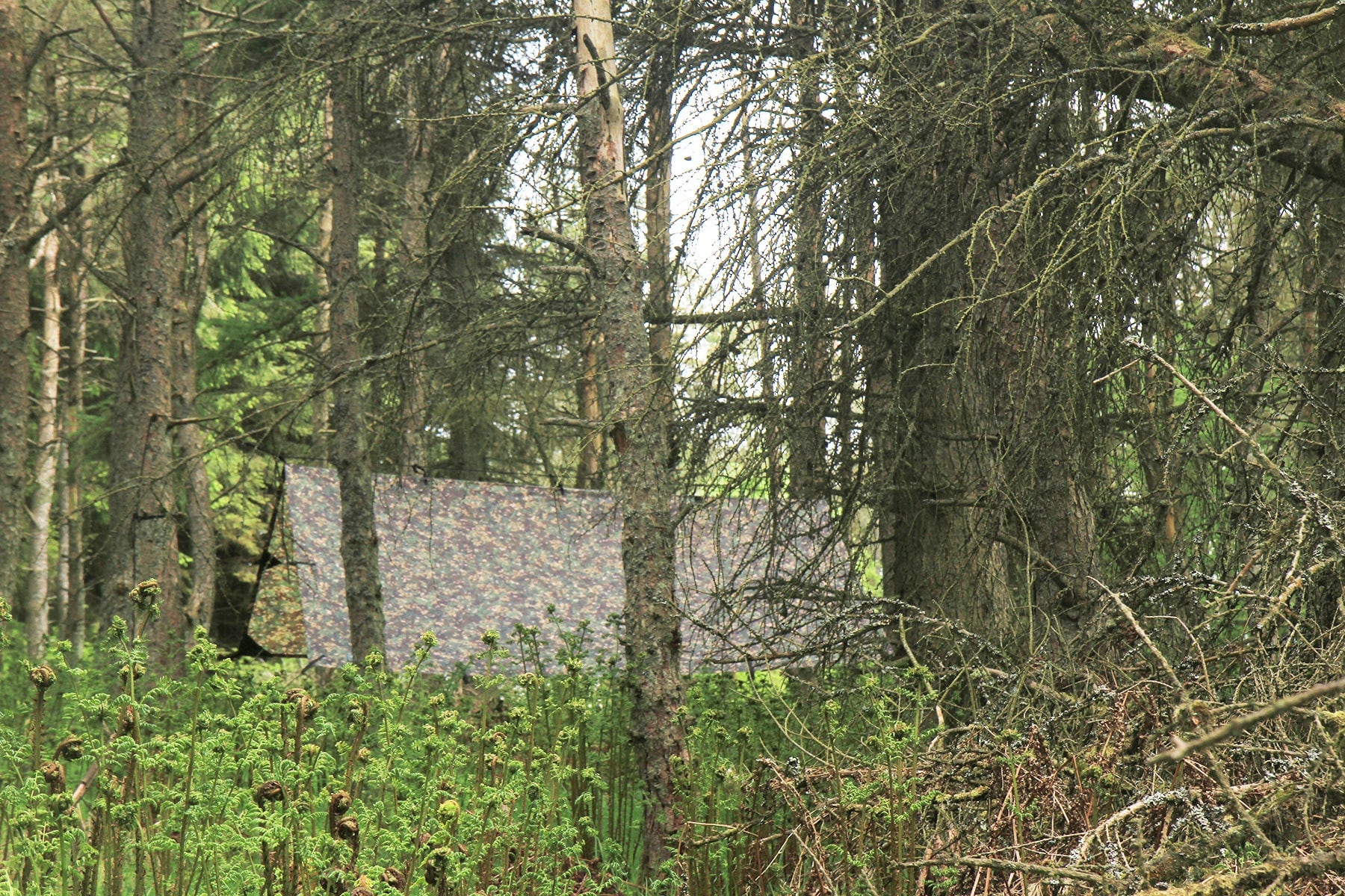 Тент DD Hammocks Tarp 3x3 - woodland