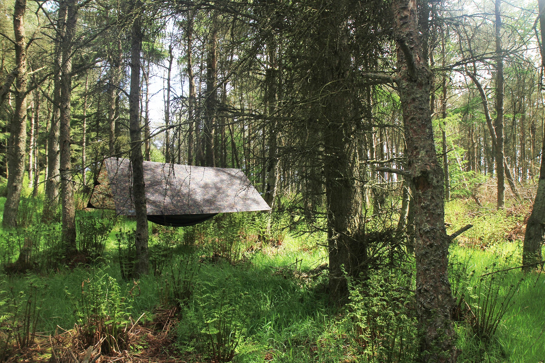 Тент DD Hammocks Tarp 3x3 - woodland