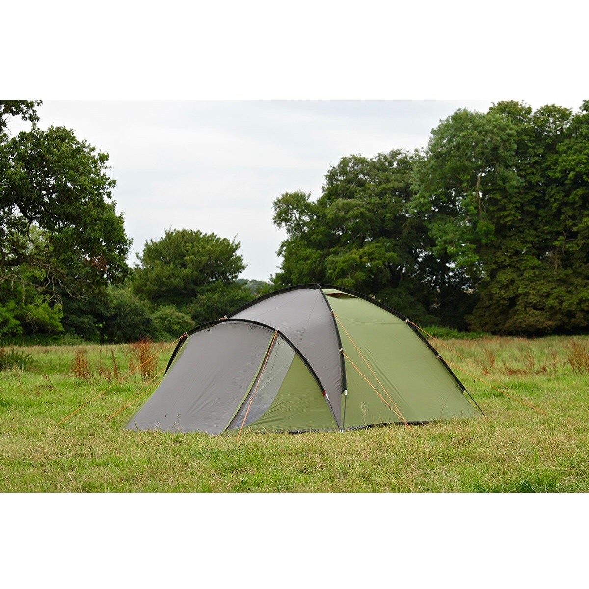 Namiot 4-osobowy Coleman Hayden 4