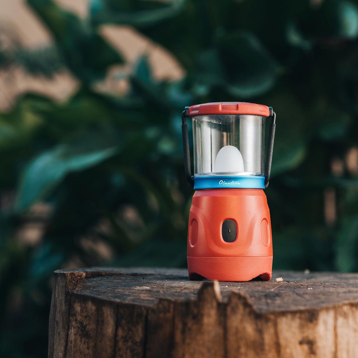 Lampa kempingowa Olight Olantern Wine Red - 360 lumenów