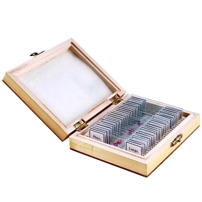 Preparaty biologiczne Opticon - Anatomia Człowieka