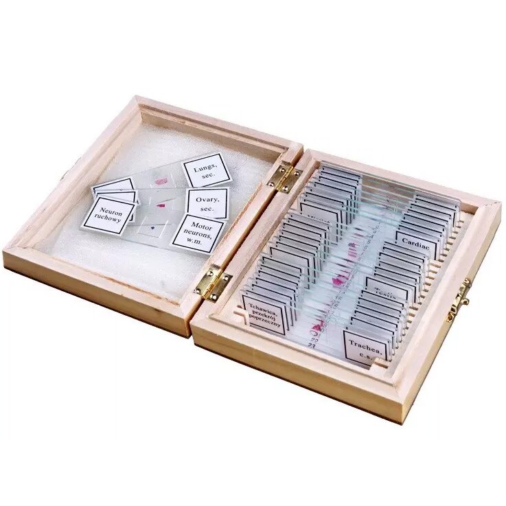 Preparaty biologiczne Opticon - Anatomia Człowieka