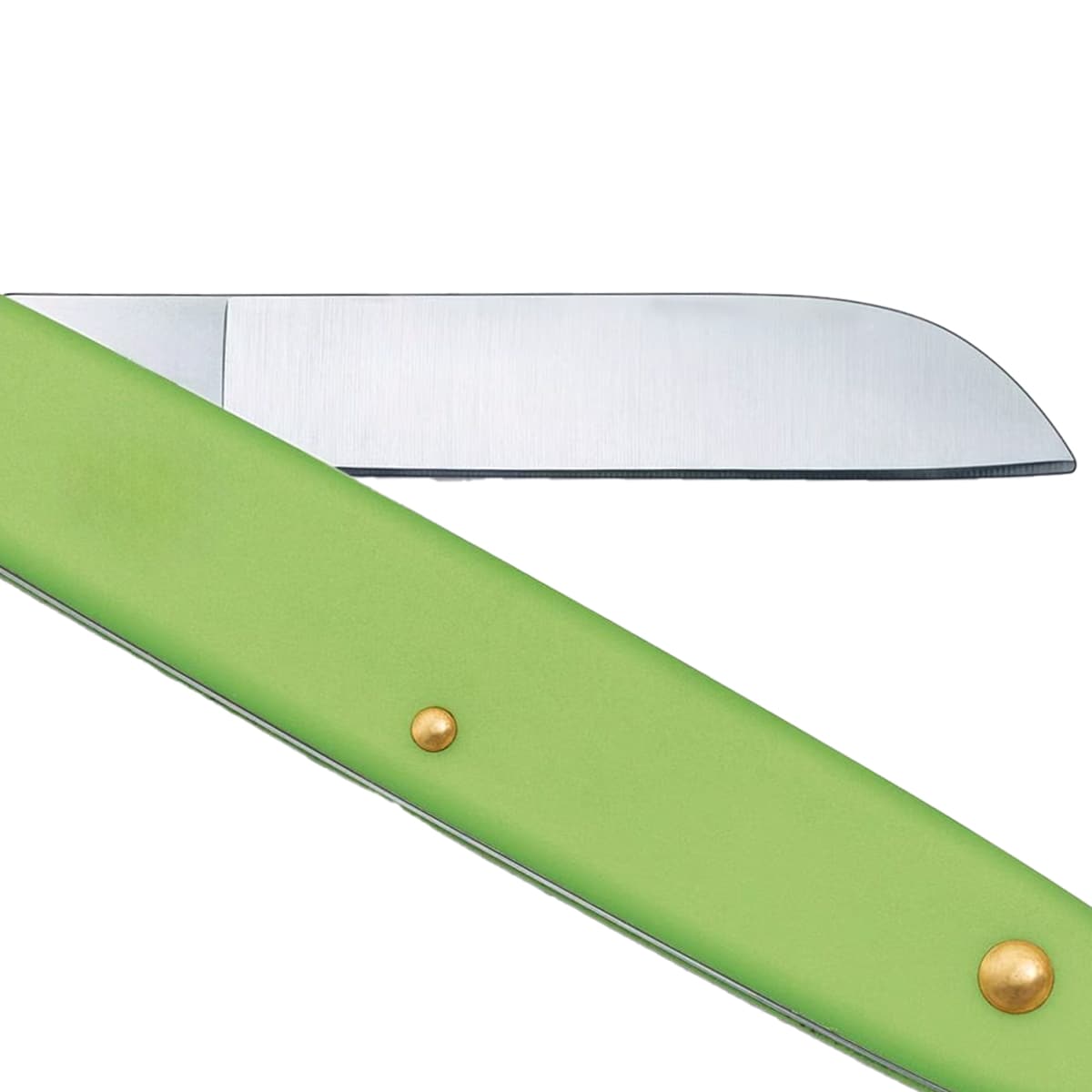 Scyzoryk ogrodniczy Victorinox Floral Knife - Green