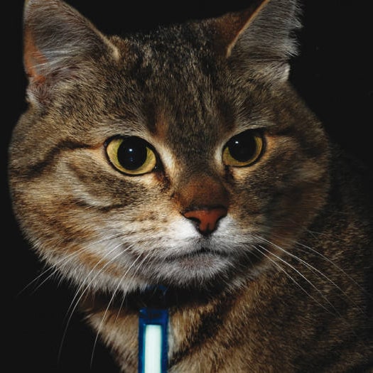 Brelok Ni-Glo Gear Marker - Sour Lemon