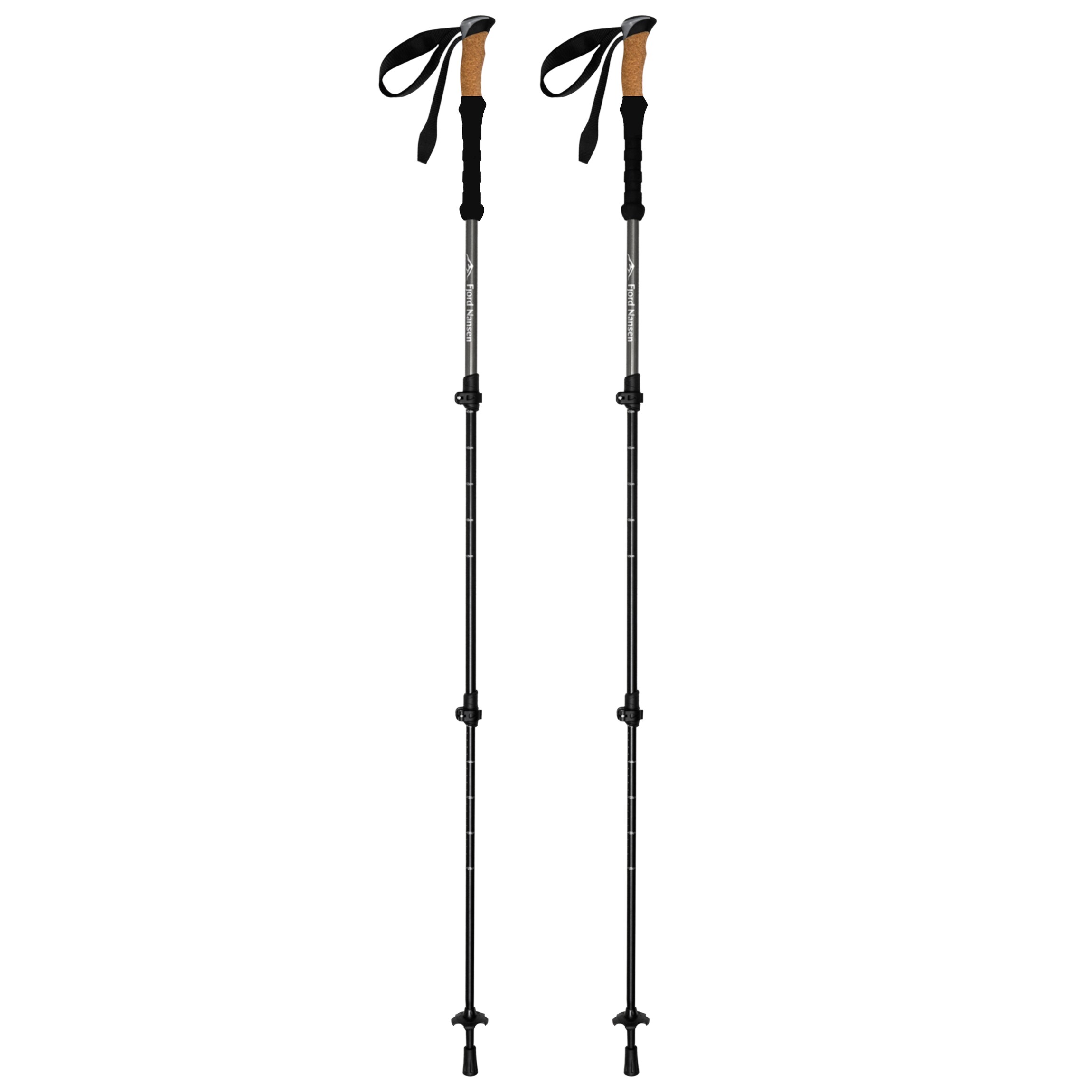 Kije trekkingowe Fjord Nansen Iron II Grip 2.0