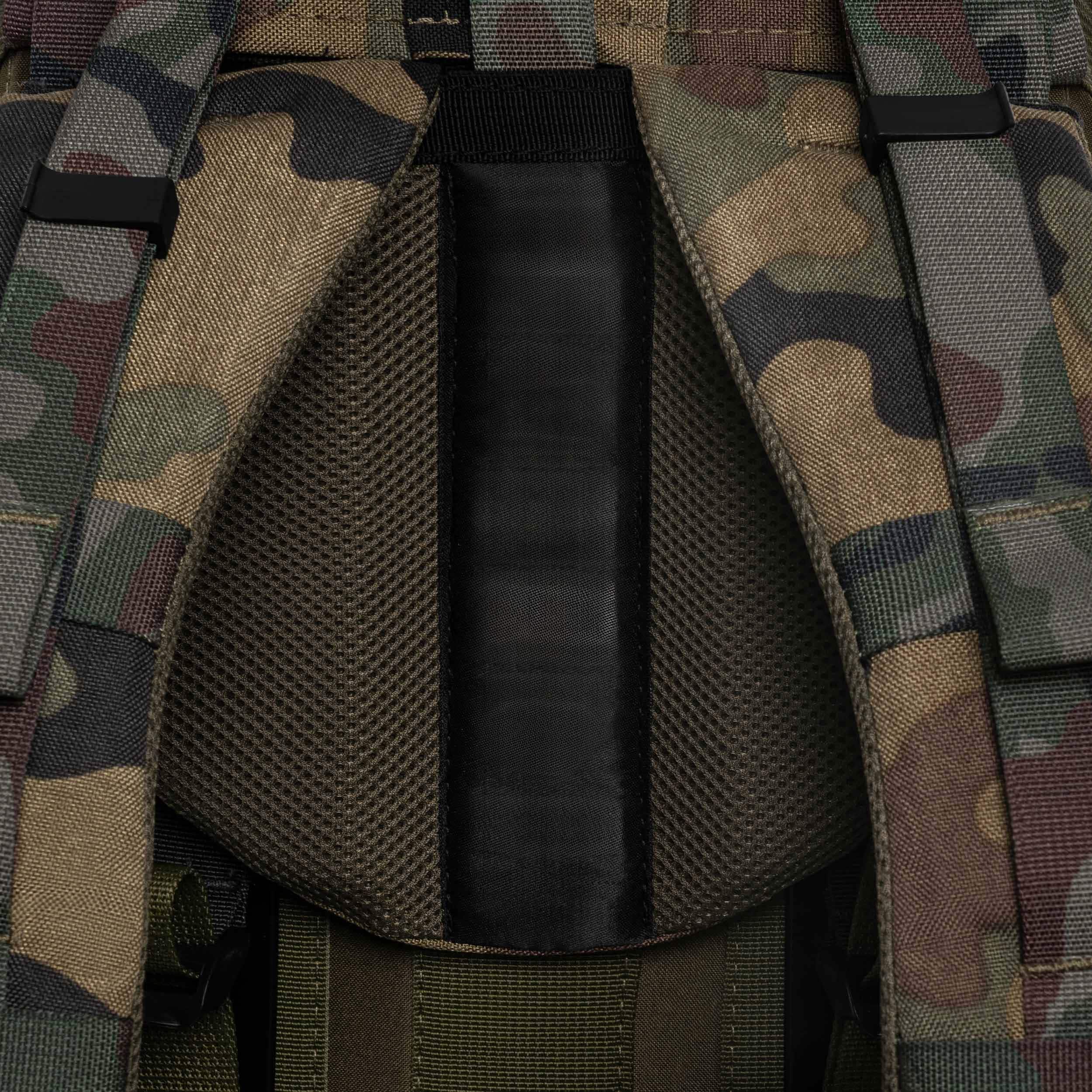 Plecak Wisport Raccoon 45 l - wz.93 Pantera PL Woodland