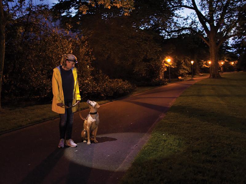 Latarka czołowa Ledlenser H3.2 - 120 lumenów