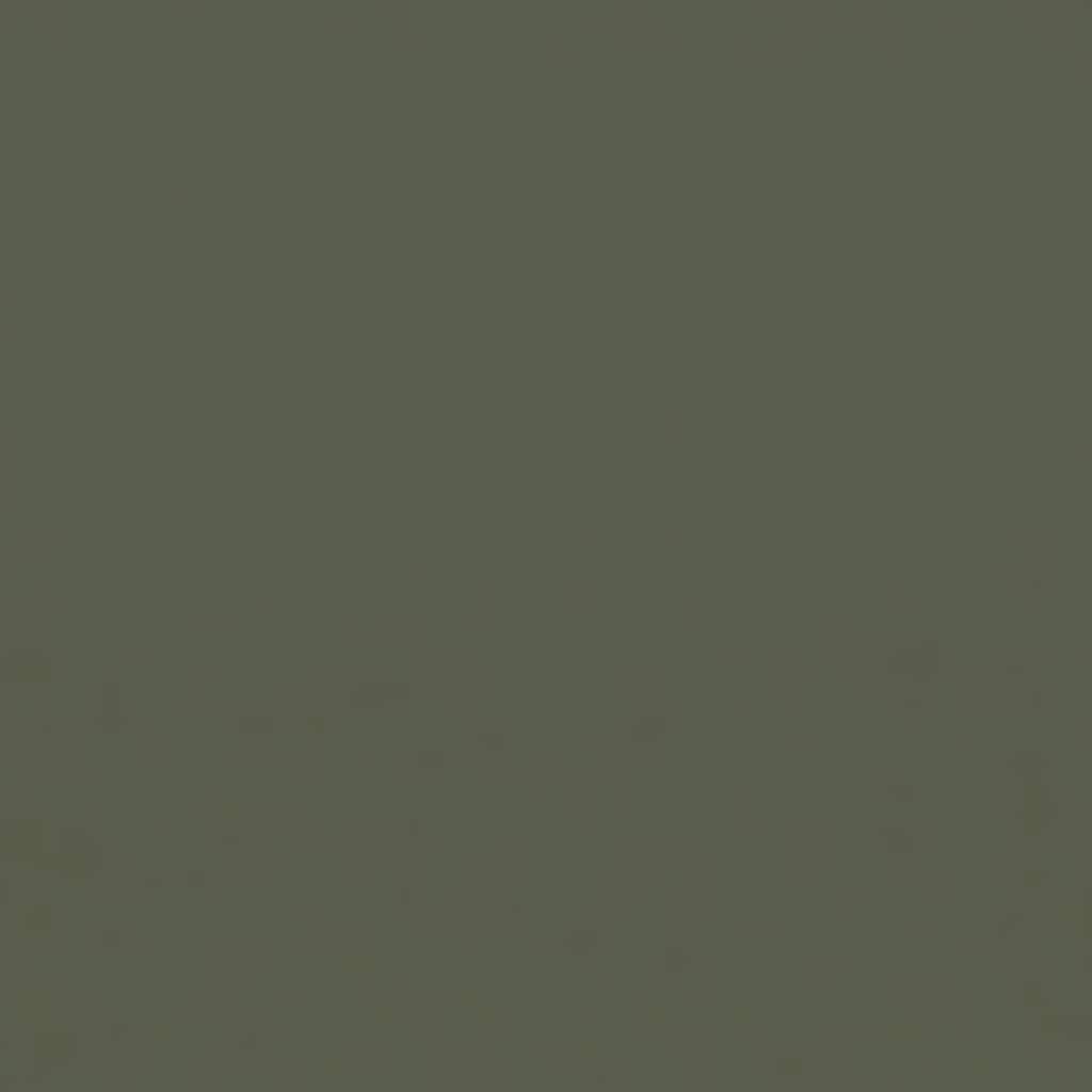 FOSCO RAL6003 camouflage paint - DDR Green