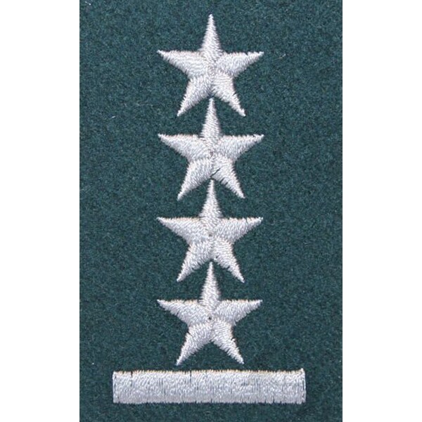 Військове звання на берет Війська Польського (зелений / вишивка) – капітан