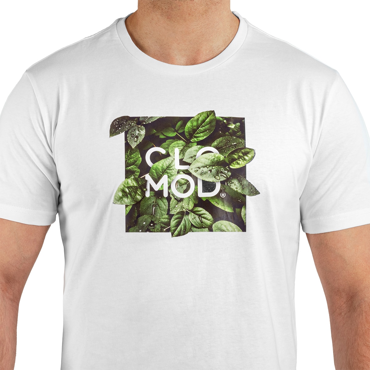 Koszulka T-shirt Pentagon CloMod Leaves - White