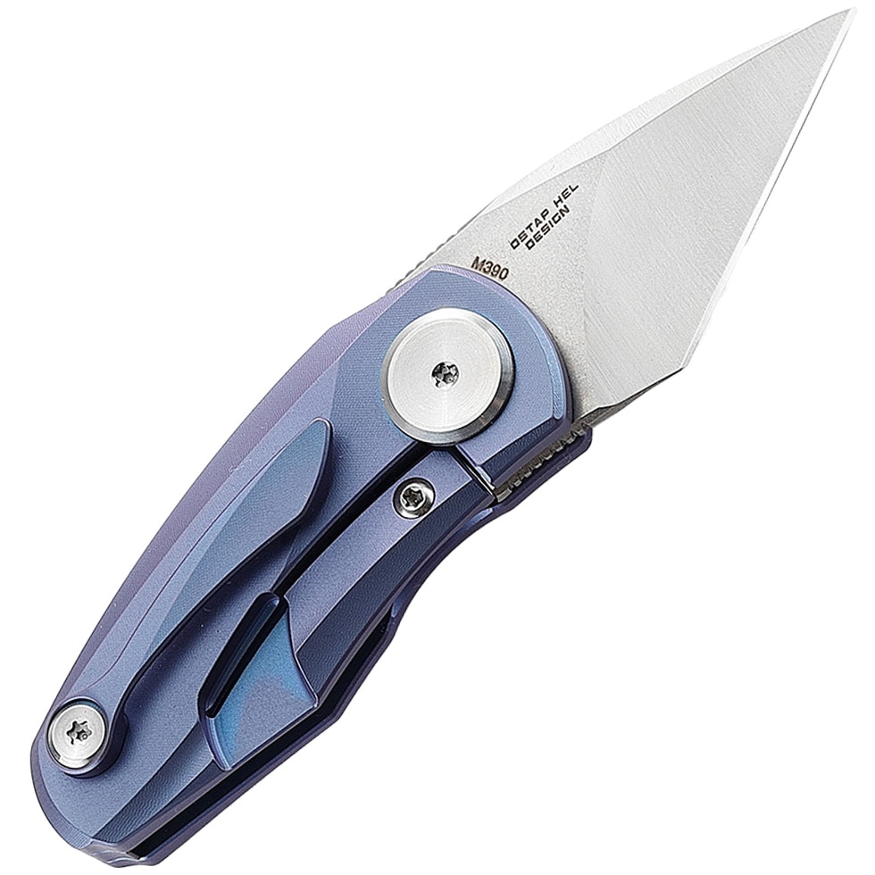 Складаний ніж Bestech Knives Tulip Frame Lock - Blue