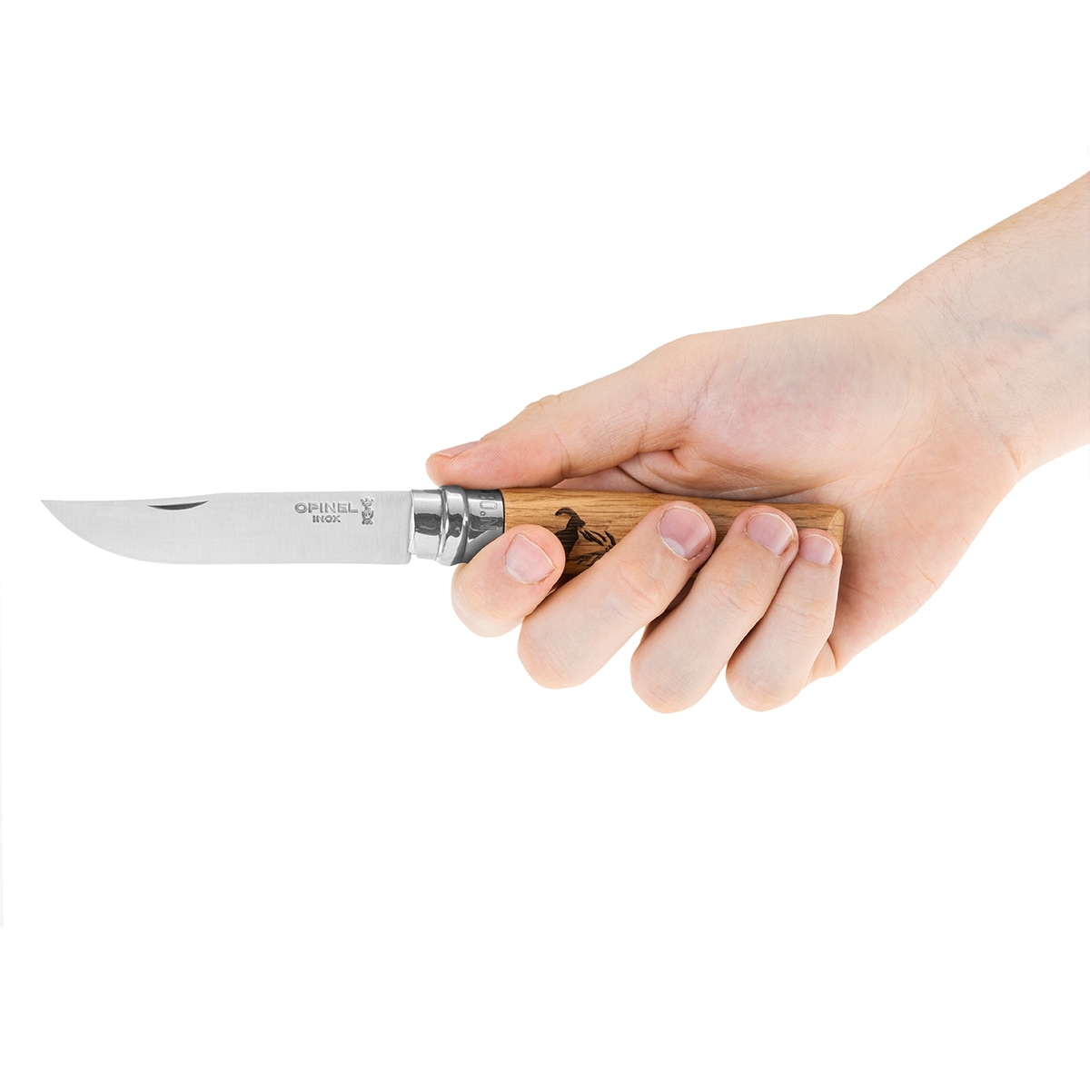 Nóż składany Opinel No.8 Animalia - Chamois