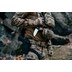 Тактичний ремінь Direct Action Warhawk Modular Belt - MultiCam