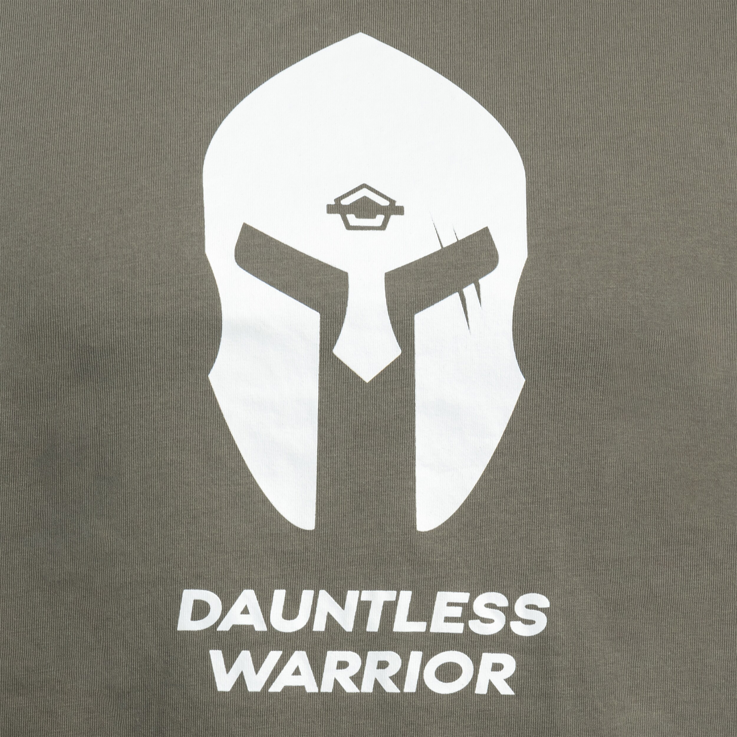 Футболка T-shirt Pentagon 