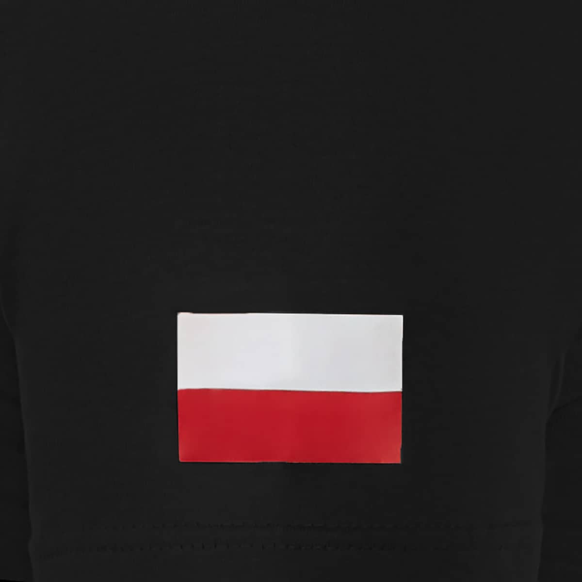 Koszulka T-Shirt TigerWood Flagi - Czarna