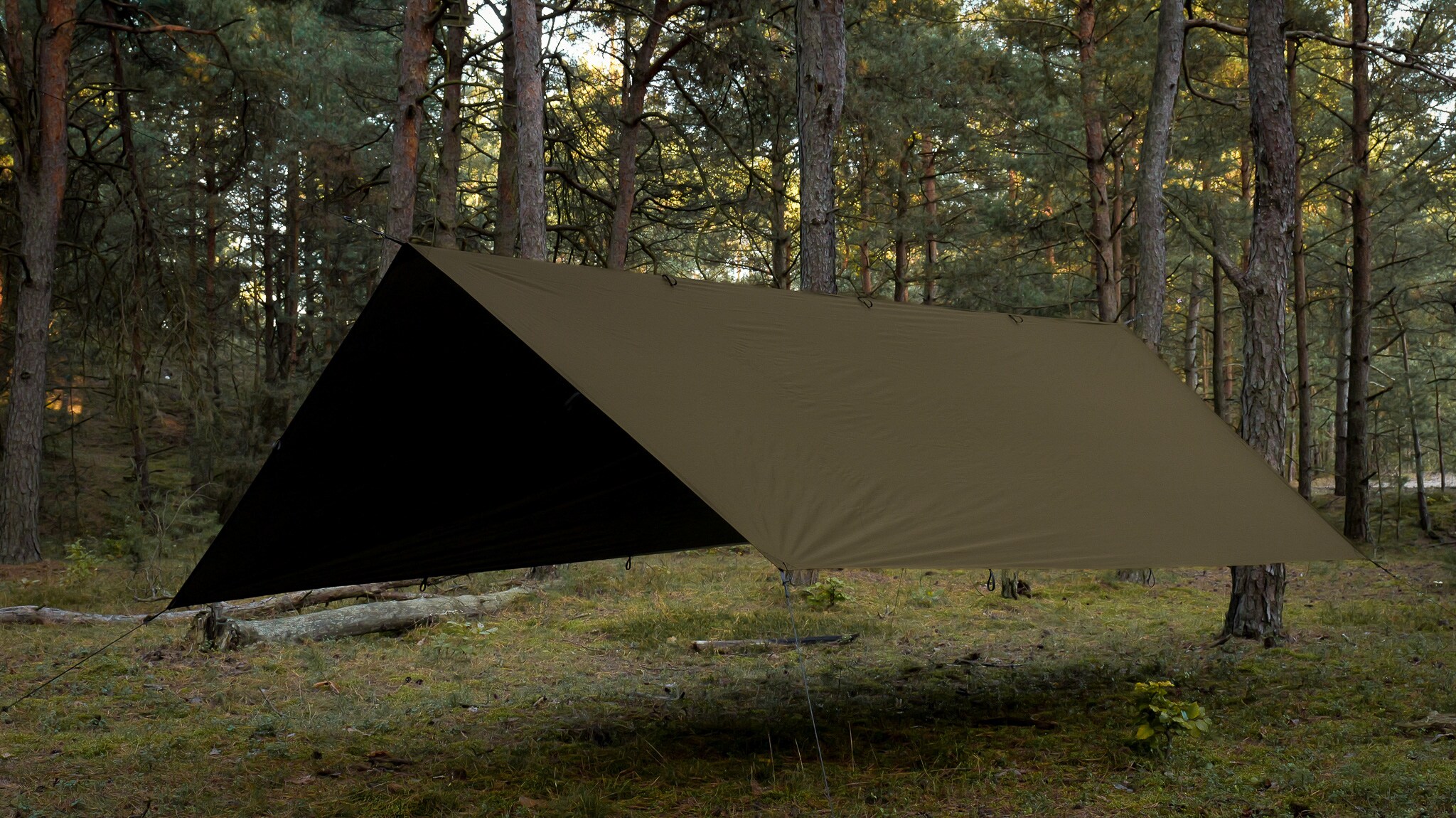 Тент TigerWood Tarp T2 3 x 3 м - Khaki