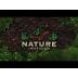 Plecak na grzyby Nature by Marsupio Forest 40 PRO 40 l - Olive