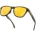Сонцезахисні окуляри Oakley Frogskins Range - Dark Brush/Prizm 24k Polarized