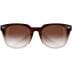 Жіночі окуляри Wiley X Ultra - Brown Gradient / Gloss Crystal Brown Fade