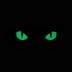 Naszywka M-Tac Cat Eyes - Black/GID