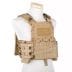 Kamizelka Emerson Cherry Plate Carrier - Coyote 