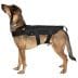 Тактичний жилет Primal Gear для собак - чорний