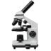 Мікроскоп Opticon Biolife