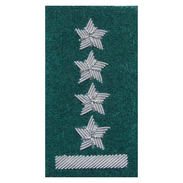 Військове звання на берет Війська Польського зелений вишивка канителлю – капітан
