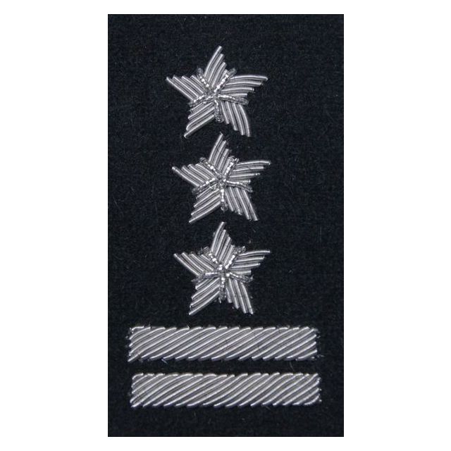 Військове звання на берет Війська Польського чорний вишивка канителлю – полковник