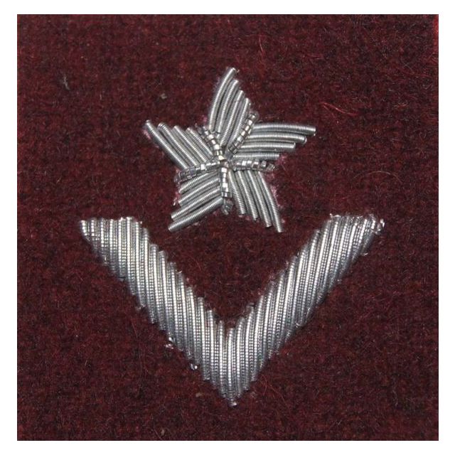 Військове звання на берет Війська Польського (бордовий / вишивка канителлю) – молодший хорунжий