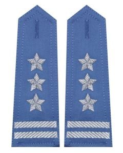 Pagony niebieskie do koszuli Służby Więziennej - pułkownik - haft